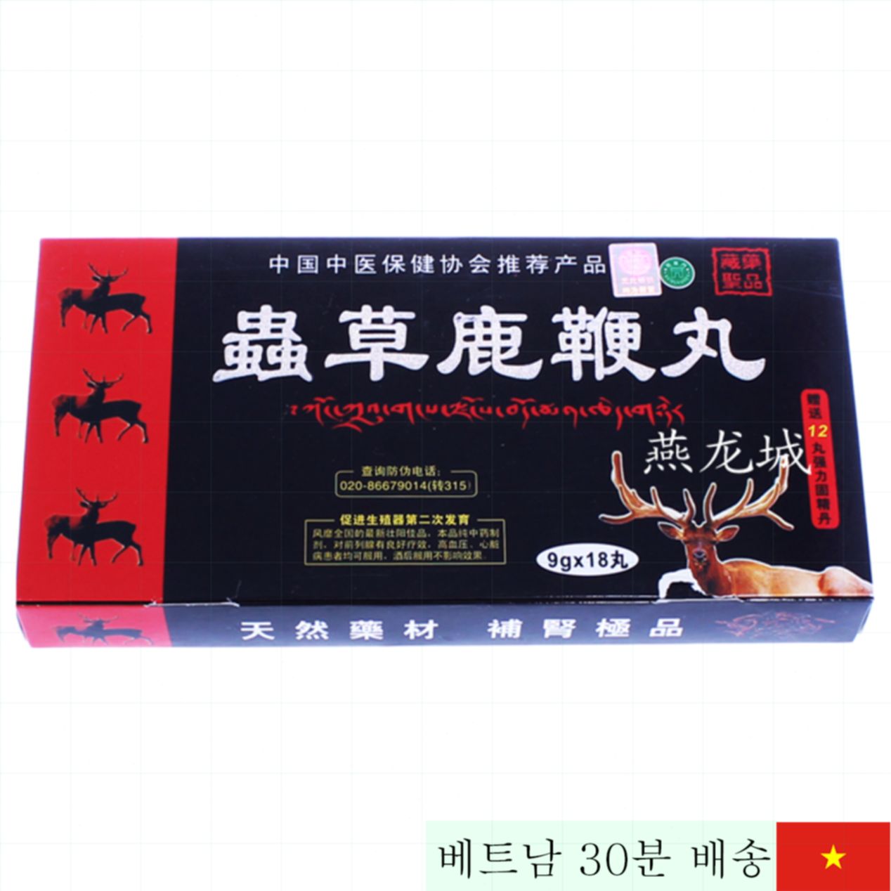 티베트 동충하초 고급 천연 남성 건강 증진 한약 