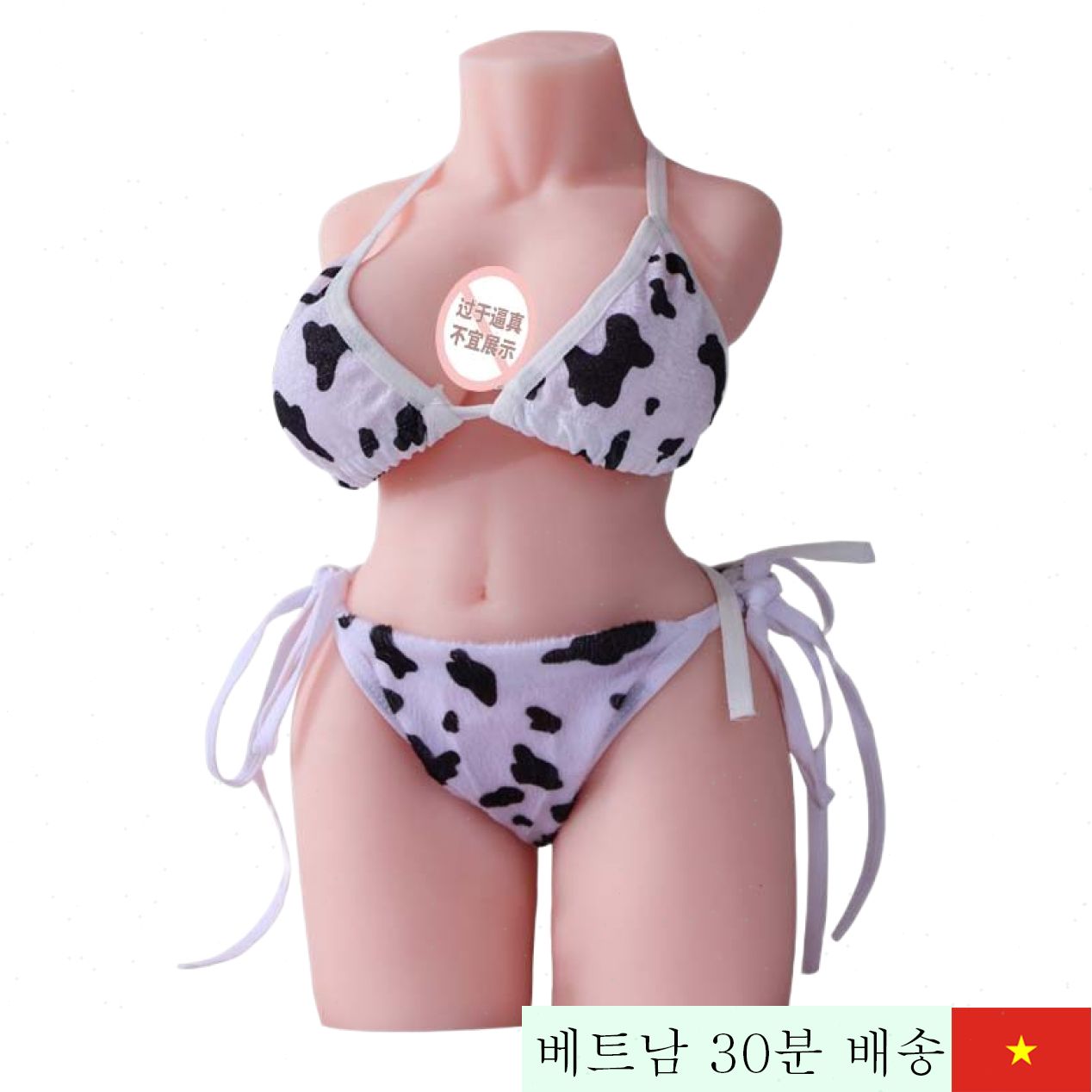 히메 료코 ZZ032 미니 리얼 젖소걸 섹시 미니돌 