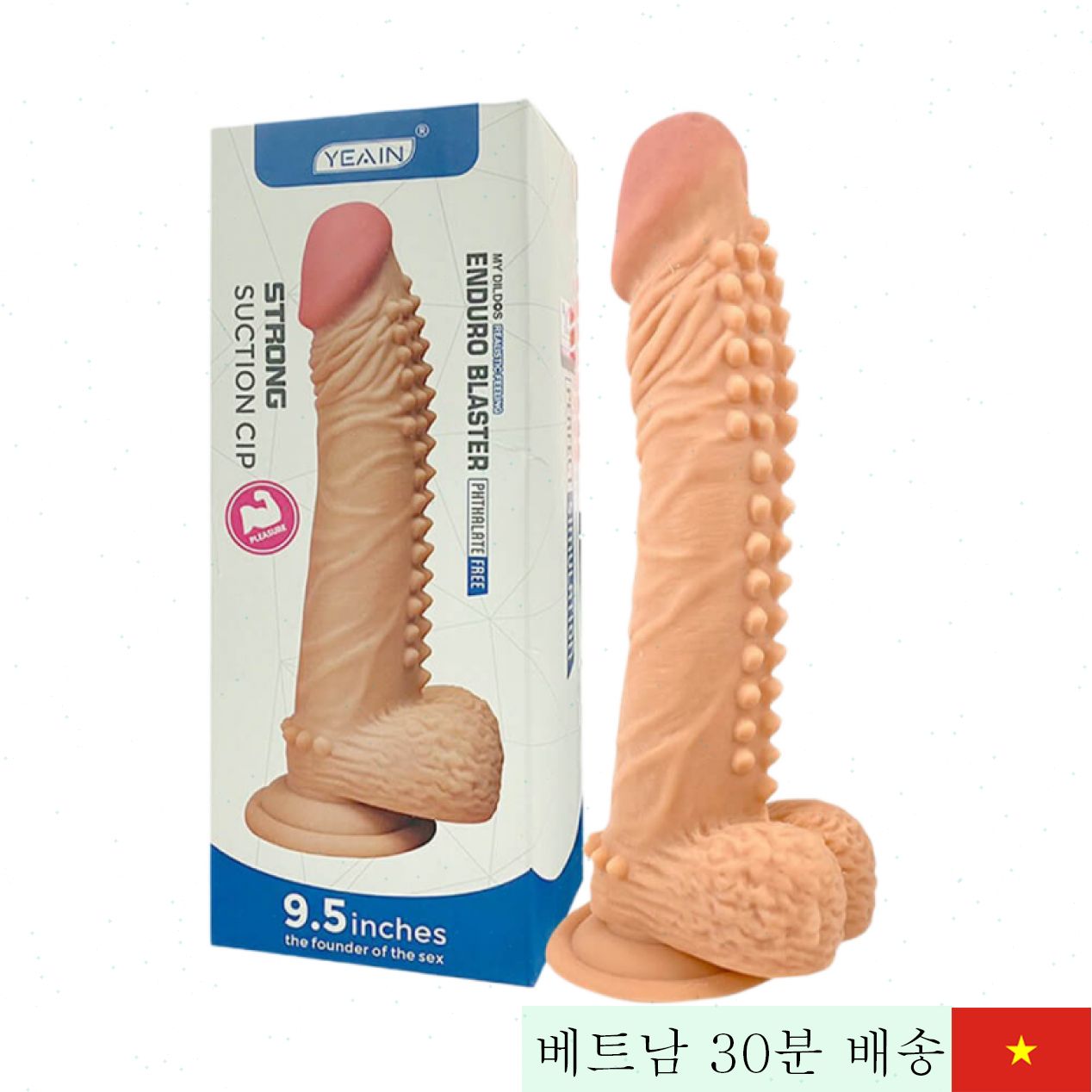 예인 9.5인치 벽걸이형 리얼리틱 음경 인형 멀티택 기능 