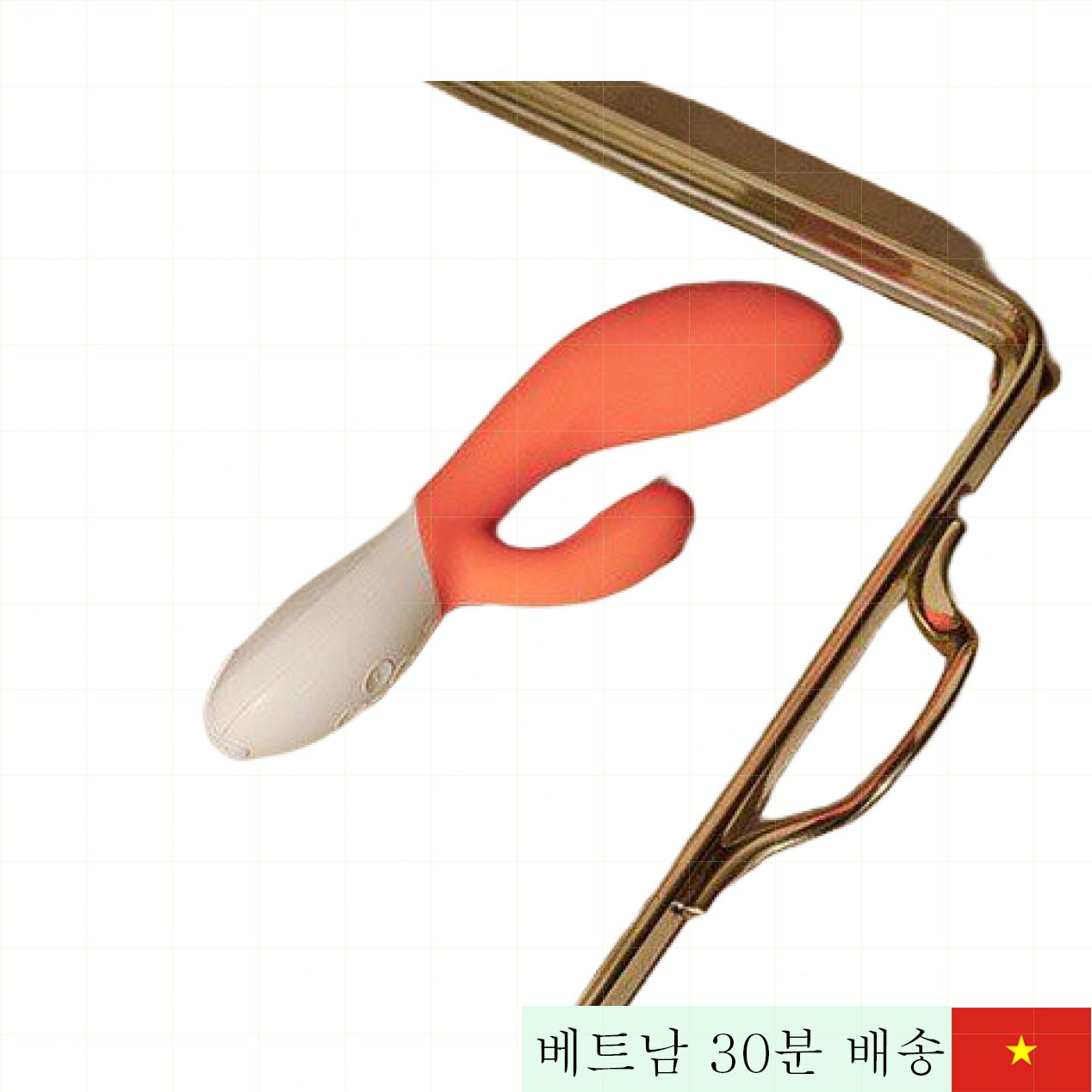 렐로 이나3 G-스팟 음부 마사지 프리미엄 실리콘 